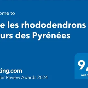 Les Rhododendrons Fleurs Des Pyrenees Hébergement de vacances